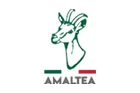 Amalthea logo